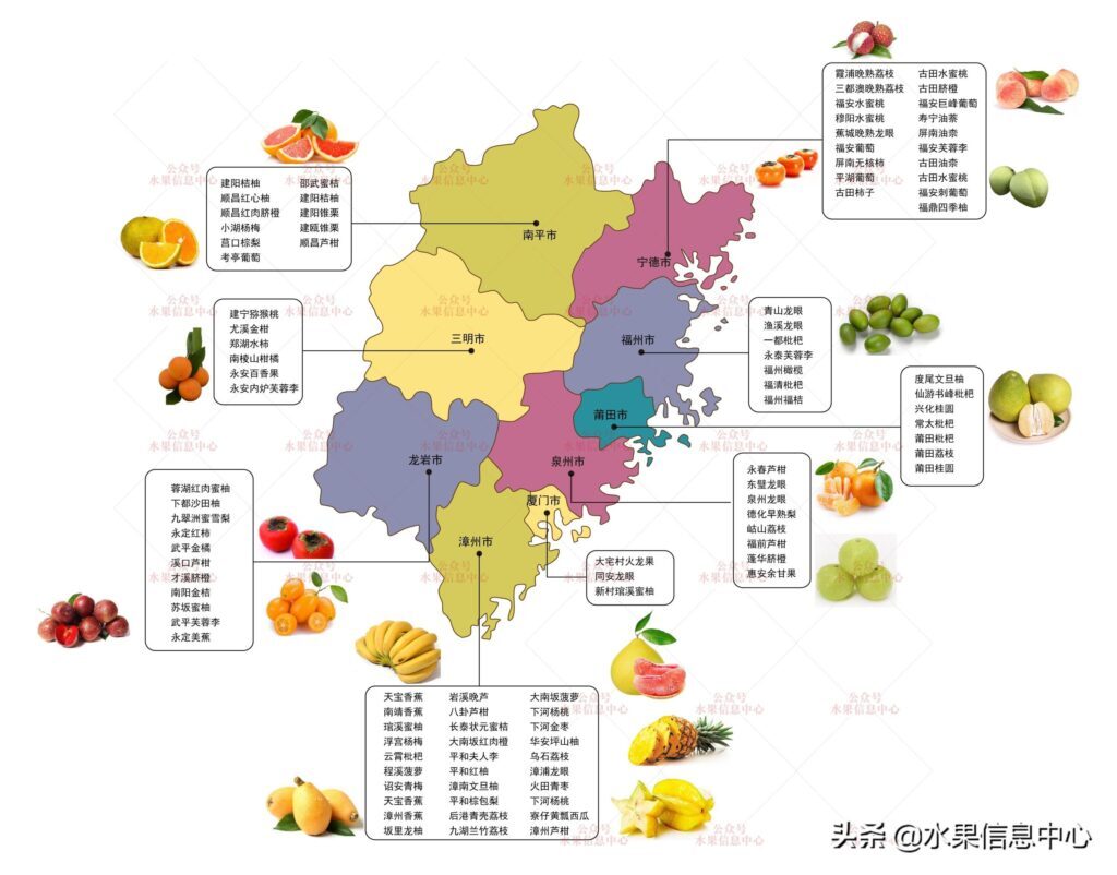 福建盛产哪些水果_福建独有的水果
