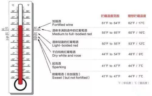 红酒最基本的常识有哪些