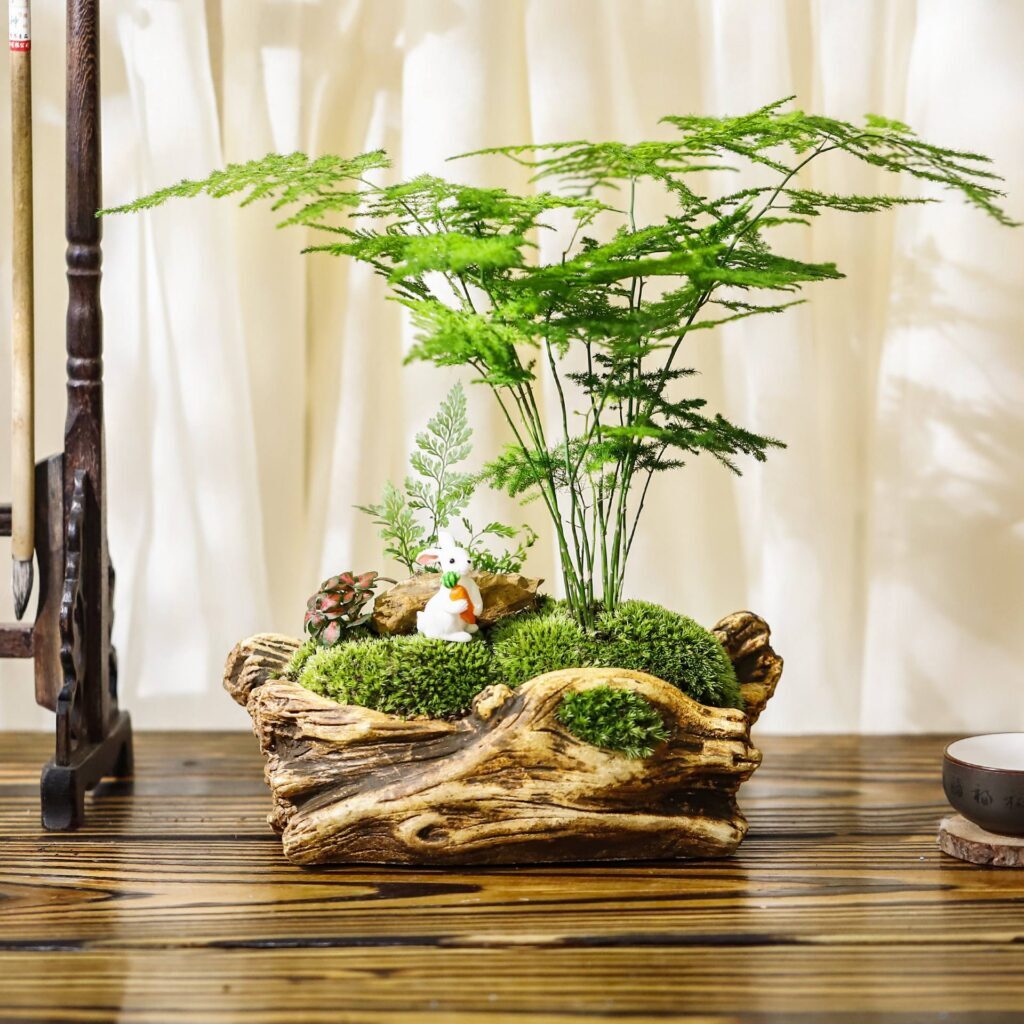 什么品种的竹子适合室内养殖