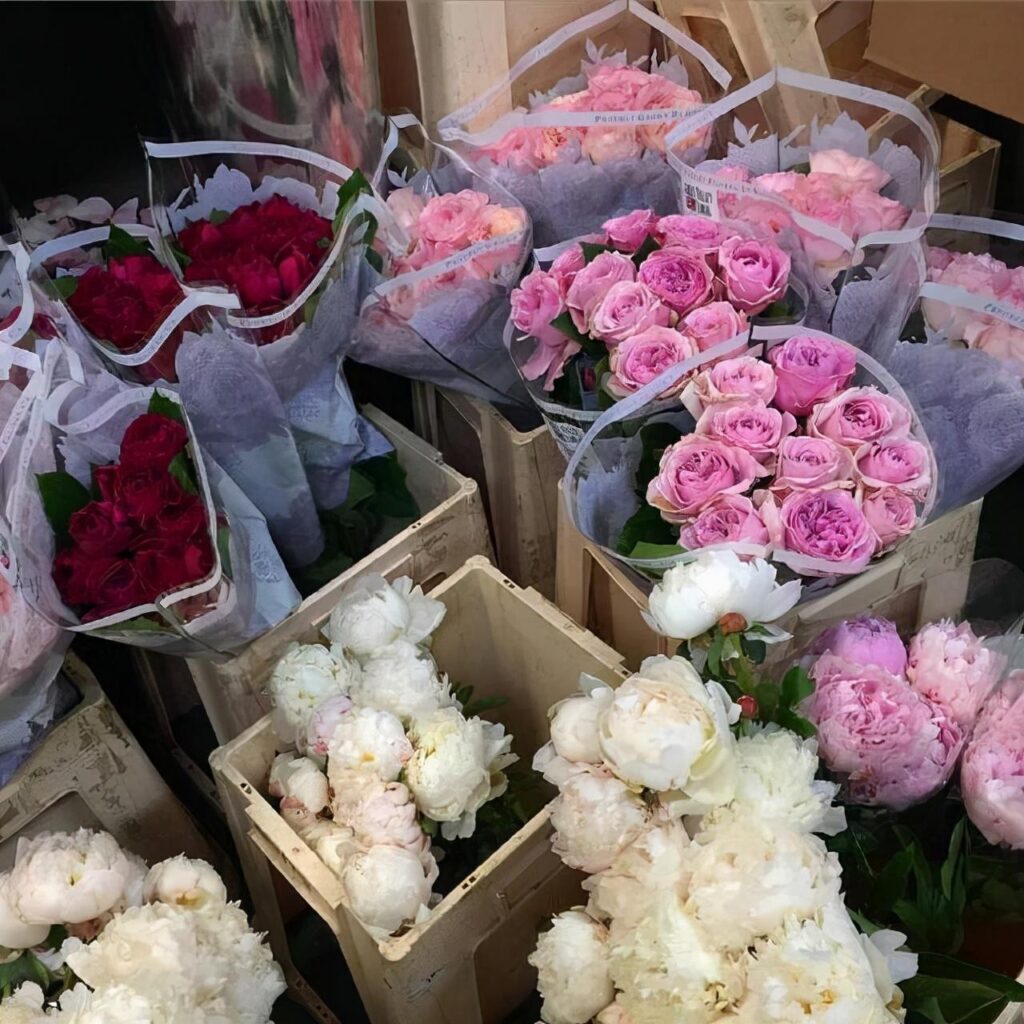 天蝎座最好的归宿是什么_谁才是天蝎座的灵魂伴侣