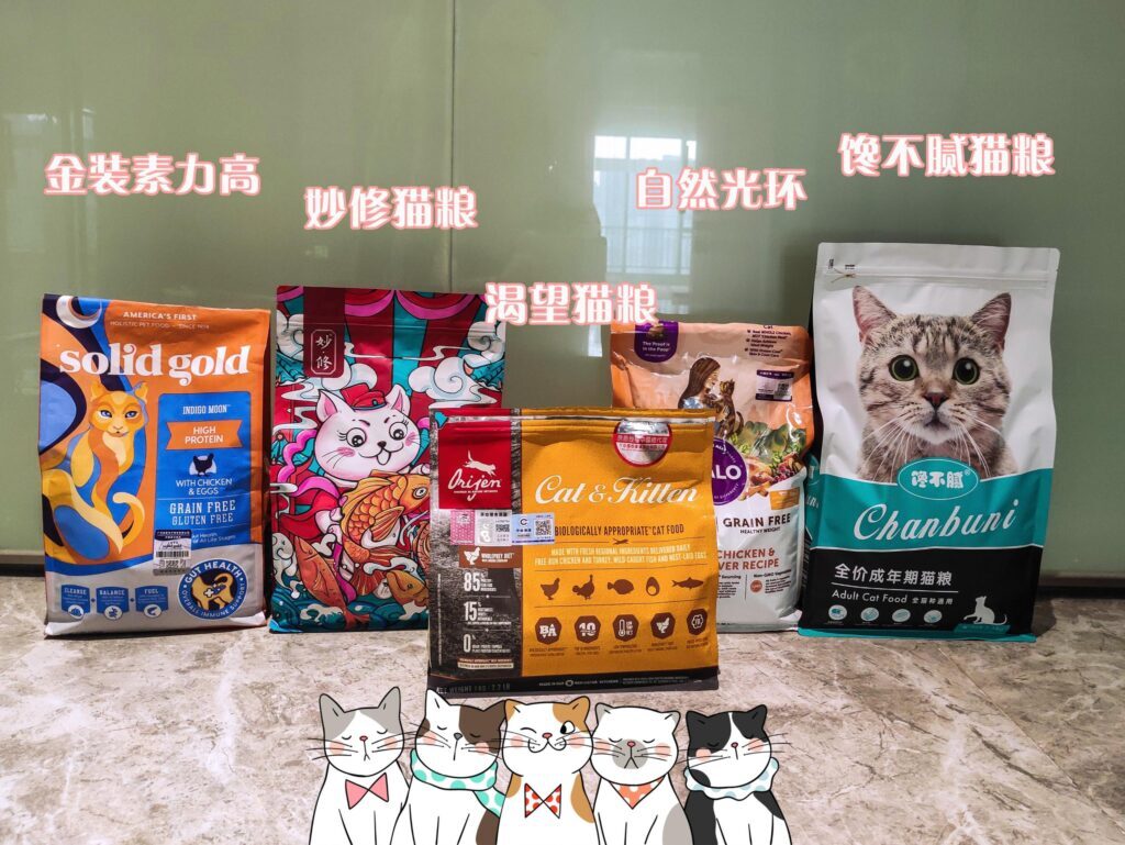 猫咪怎么分辨公母