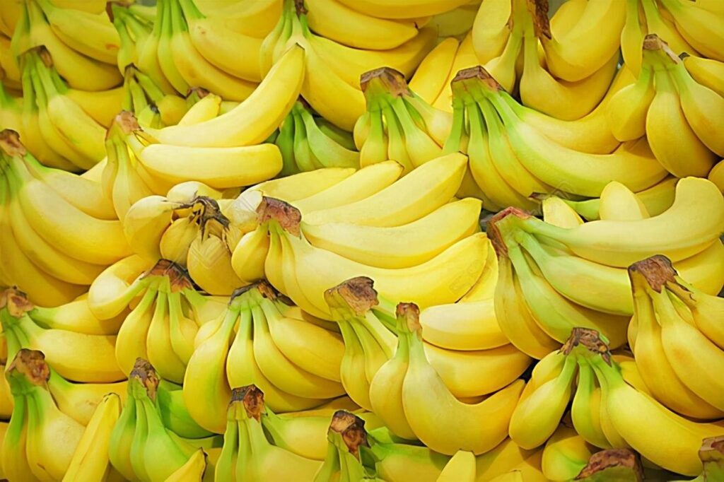 芭蕉为什么比香蕉贵_吃芭蕉好还是香蕉好