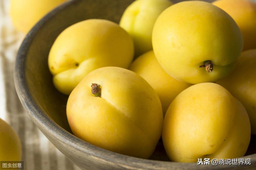 哪里的杏仁最好_中国哪里的杏仁最好最出名