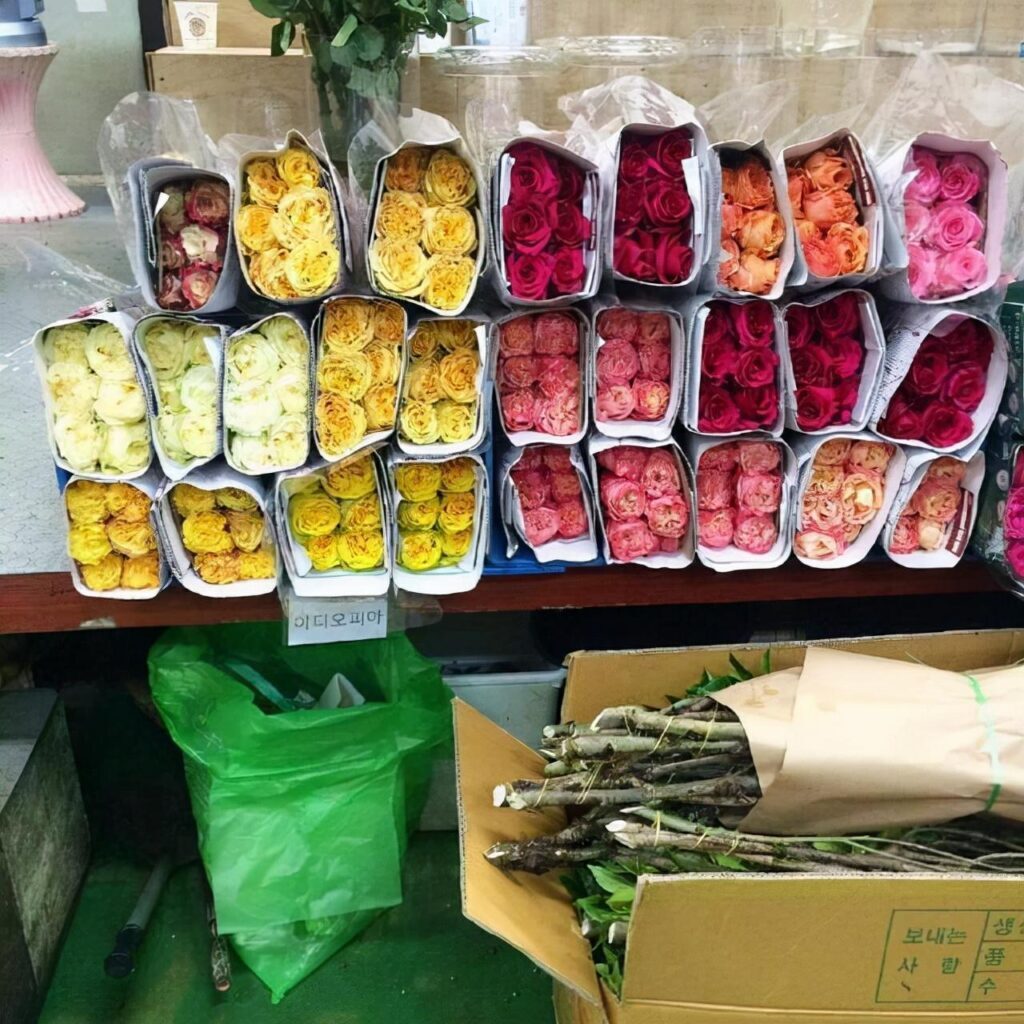 天蝎座最好的归宿是什么_谁才是天蝎座的灵魂伴侣
