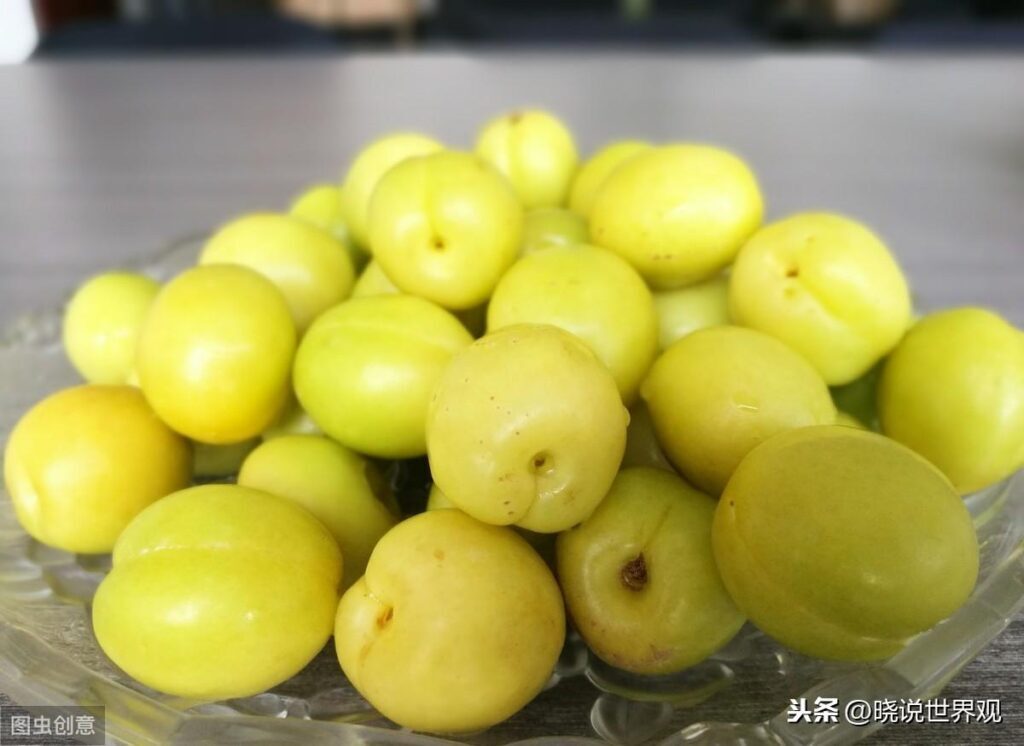 哪里的杏仁最好_中国哪里的杏仁最好最出名