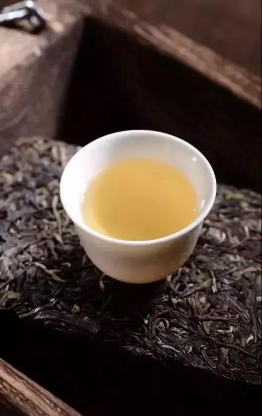 为什么老茶比新茶好喝_老茶和新茶的口感区别