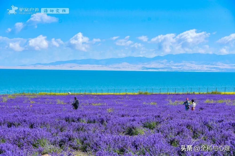 夏天去哪里旅游好_夏天旅游必去十大景点