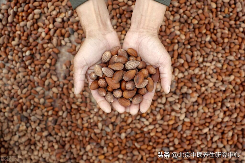 香榧是什么_香榧是什么培育而成的