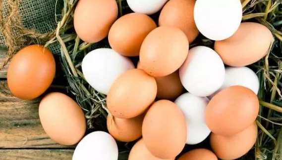 白壳和红壳鸡蛋哪个好_白壳和红壳鸡蛋的区别