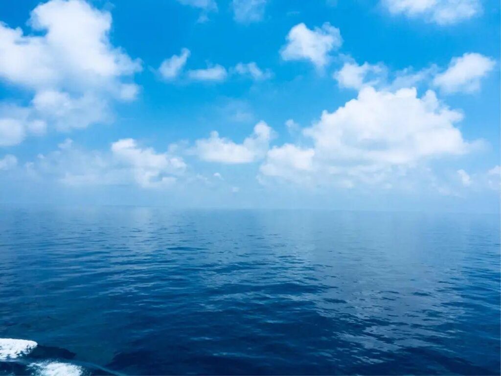 为什么海洋是蓝色的_海洋呈现蓝色是什么原理