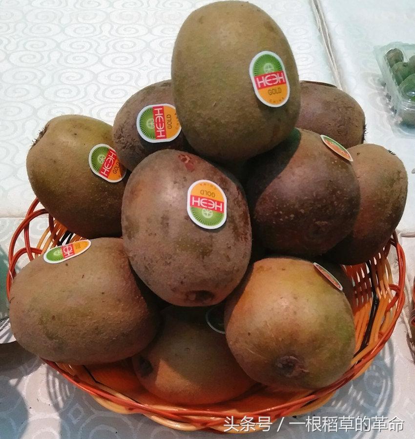 红心猕猴桃产地是哪里_红心猕猴桃哪个品种最好