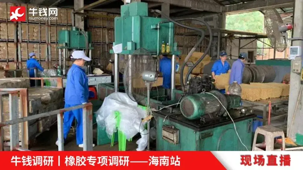 橡胶产地在哪里_中国三大橡胶生产基地