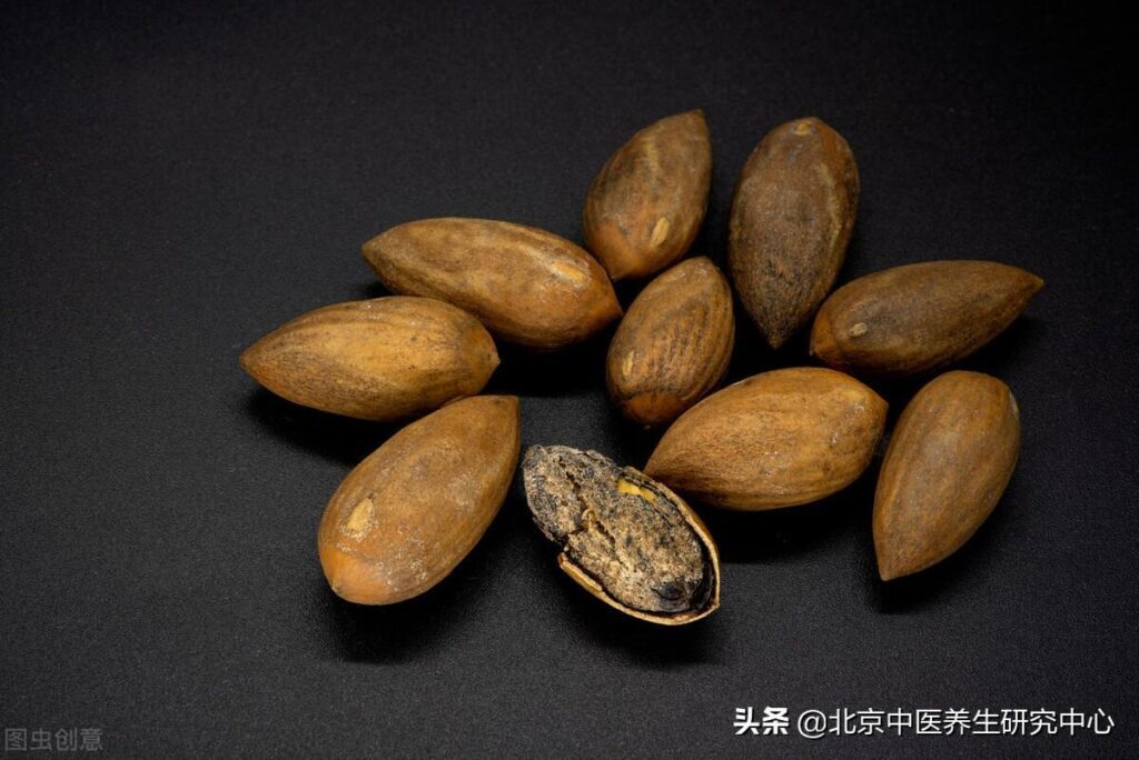 香榧是什么_香榧是什么培育而成的