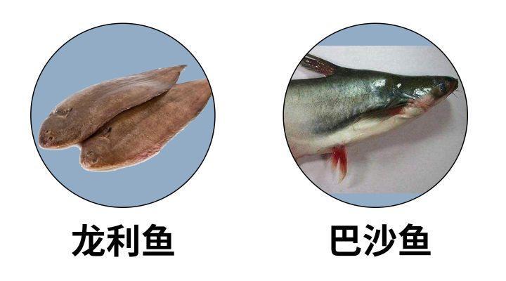龙利鱼和巴沙鱼是一种鱼吗_龙利鱼和巴沙鱼哪个好