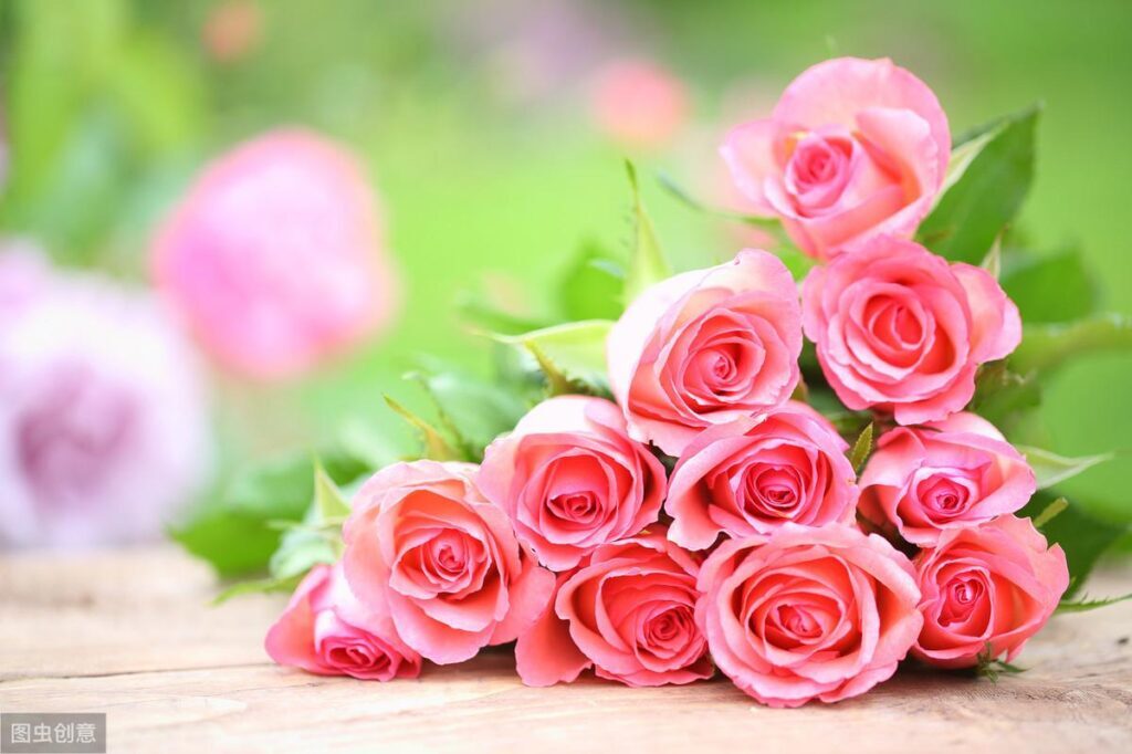 黄色玫瑰的花语是什么_不同颜色玫瑰花的花语