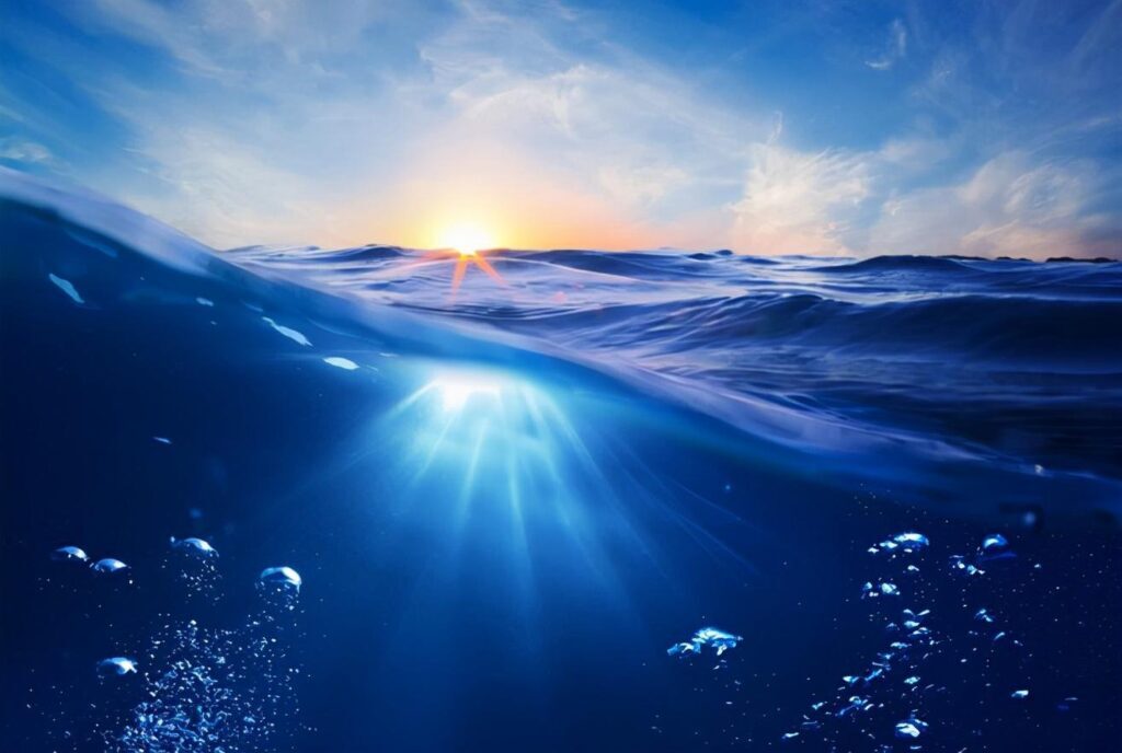 为什么海会发光_海水发光是什么引起的