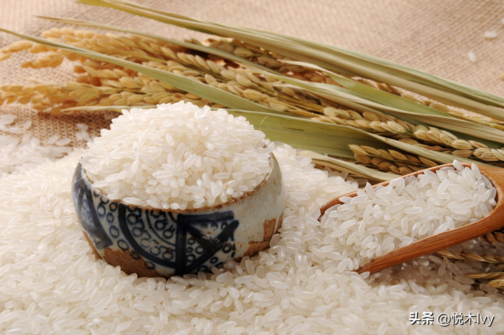 五谷中的菽是指什么_黍稷麦菽稻所指哪五谷