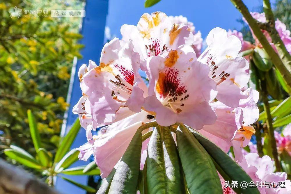 夏天去哪里旅游好_夏天旅游必去十大景点