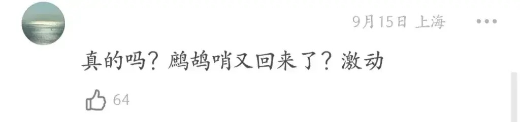 高伟光是个怎样的人_高伟光个人资料简介