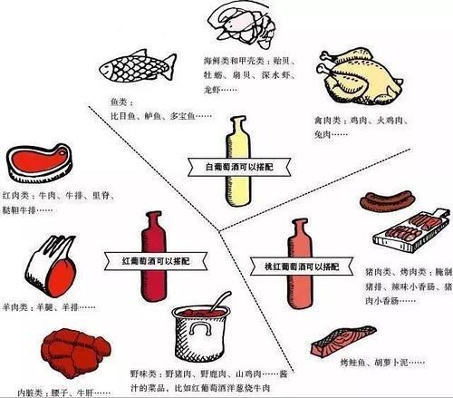 红酒最基本的常识有哪些