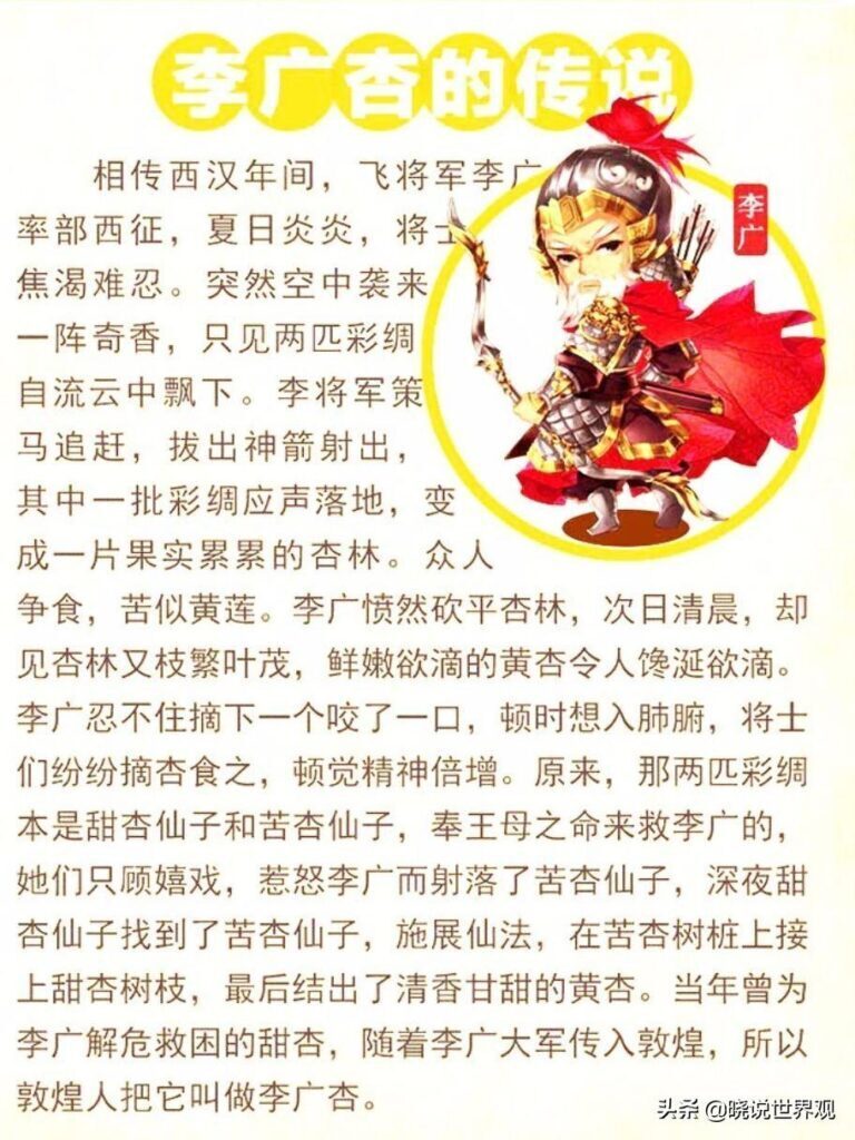 哪里的杏仁最好_中国哪里的杏仁最好最出名