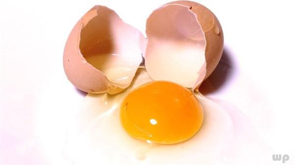 鸡蛋壳的主要成分是什么_鸡蛋壳有哪些妙用