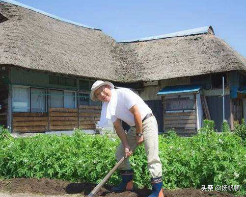 日本贫富为什么差距如此小_日本贫富差距小的原因