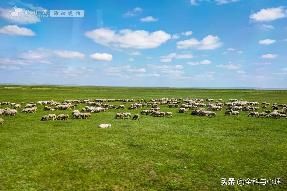 夏天去哪里旅游好_夏天旅游必去十大景点