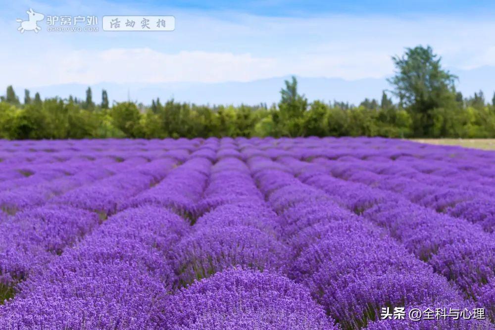 夏天去哪里旅游好_夏天旅游必去十大景点