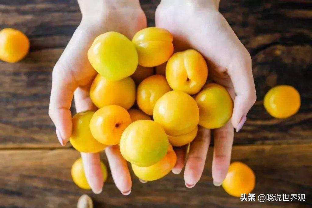 哪里的杏仁最好_中国哪里的杏仁最好最出名