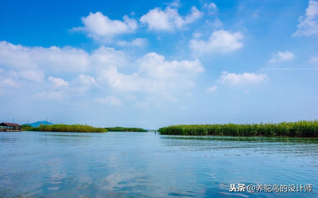 鸵鸟生活在什么地方_鸵鸟适合在哪里养殖