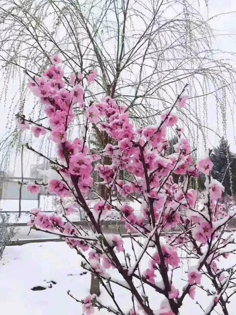 开什么店投资小_小投资创业项目推荐