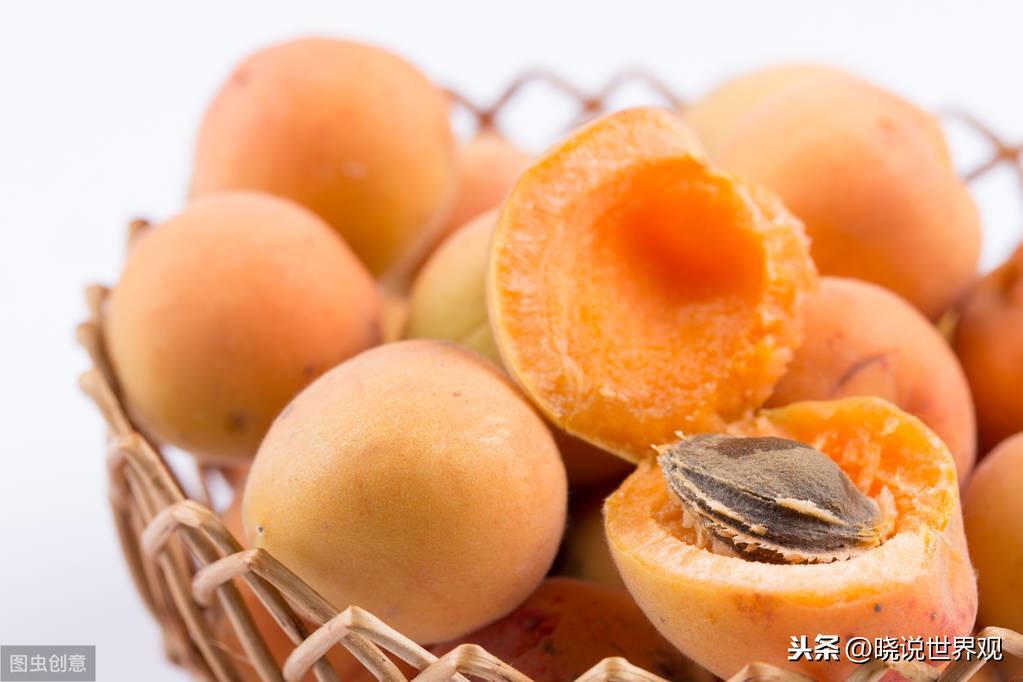 哪里的杏仁最好_中国哪里的杏仁最好最出名