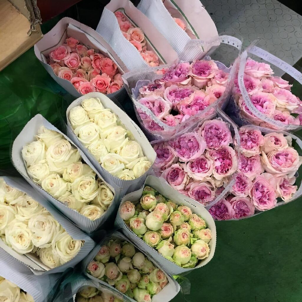 天蝎座最好的归宿是什么_谁才是天蝎座的灵魂伴侣