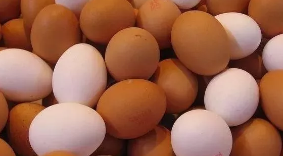 白壳和红壳鸡蛋哪个好_白壳和红壳鸡蛋的区别