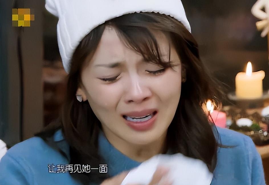 为什么刘涛这么火,刘涛的演绎生涯