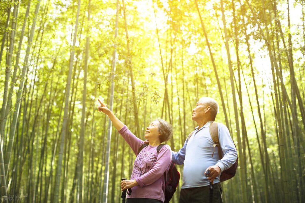 老年人如何自由行_老年人自由行旅游攻略