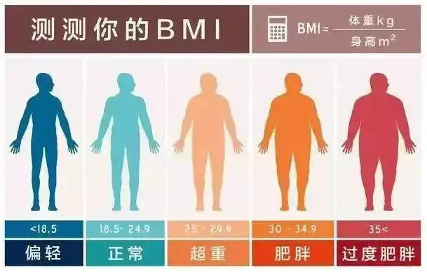 二尺二腰围等于多少厘米 ,女人二尺二腰算不算胖