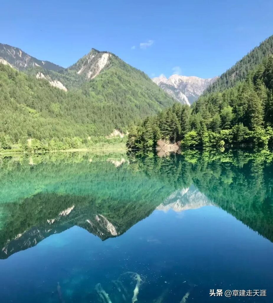 九寨沟自己去还是跟团 ，九寨沟旅游攻略