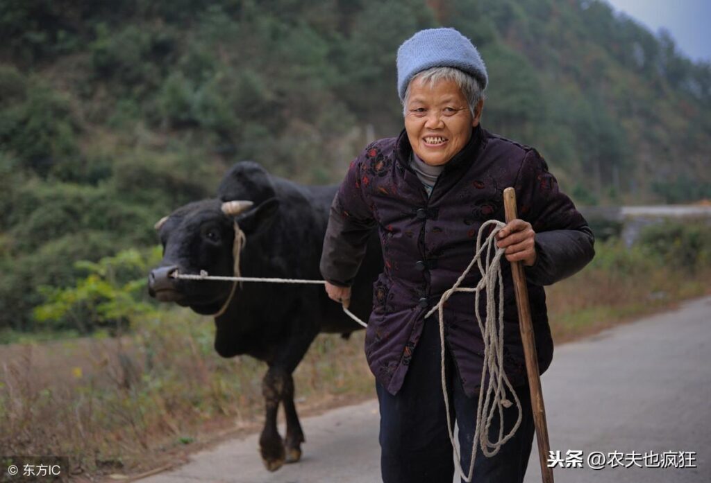 人生四大喜事是什么，人生四大喜和四大悲