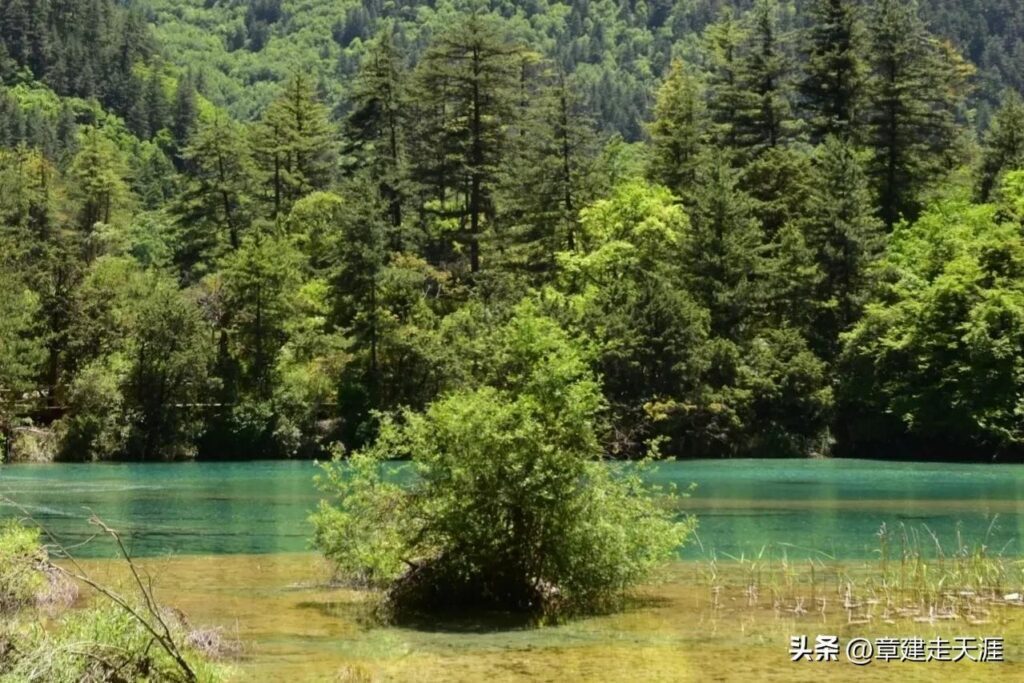 九寨沟自己去还是跟团 ，九寨沟旅游攻略