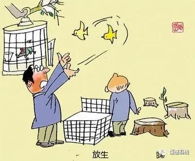 放生有什么好处，放生的好处和功德