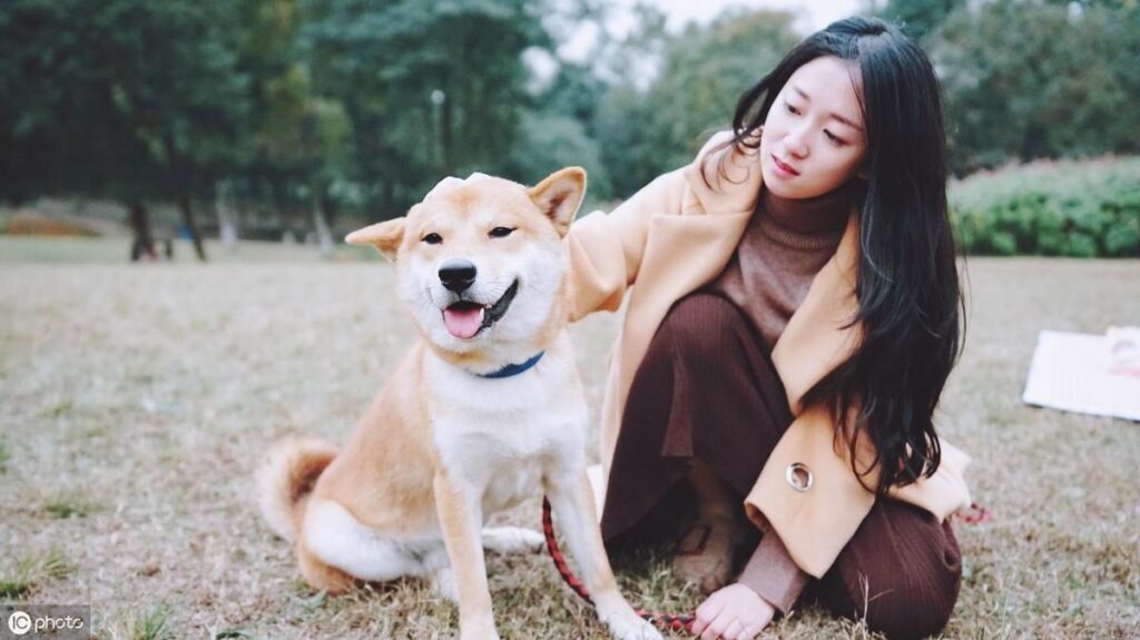 狗是怎么认出主人的，狗狗靠什么分辨主人