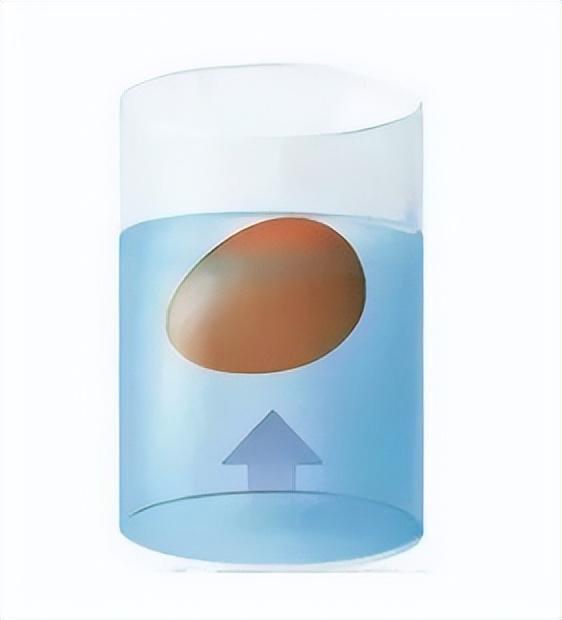 为什么盐水能浮起鸡蛋，鸡蛋浮于盐水的原理
