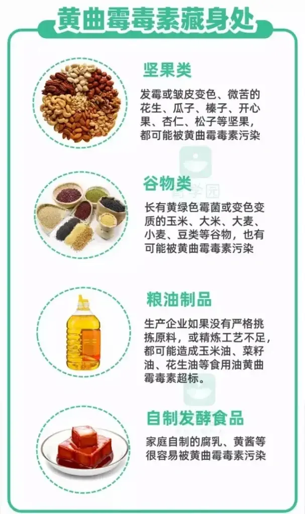 小孩吃什么油比较好_儿童吃什么油最健康