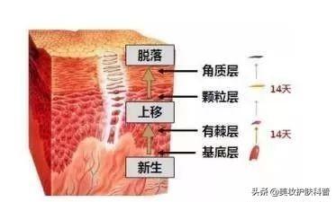 去角质有什么作用，去角质的真的有用吗
