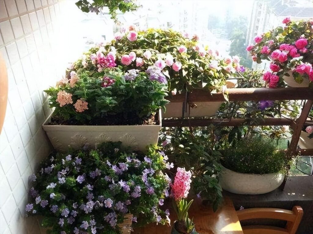 阳台花箱适合种什么花_10种公认阳台最好养的花