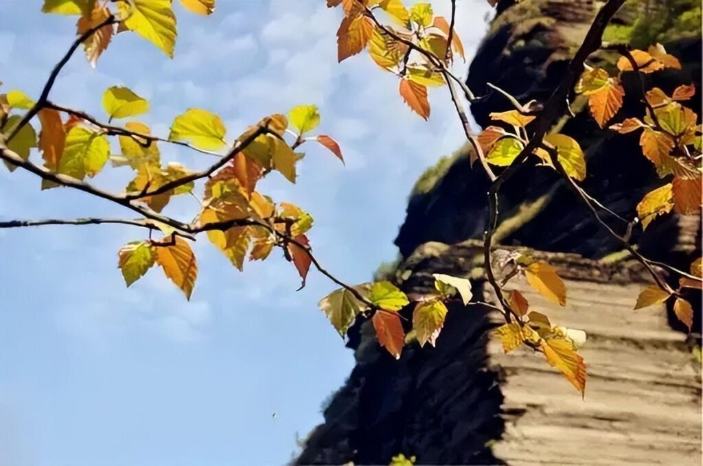 梵净山几月份去最好，梵净山几月份去最好看
