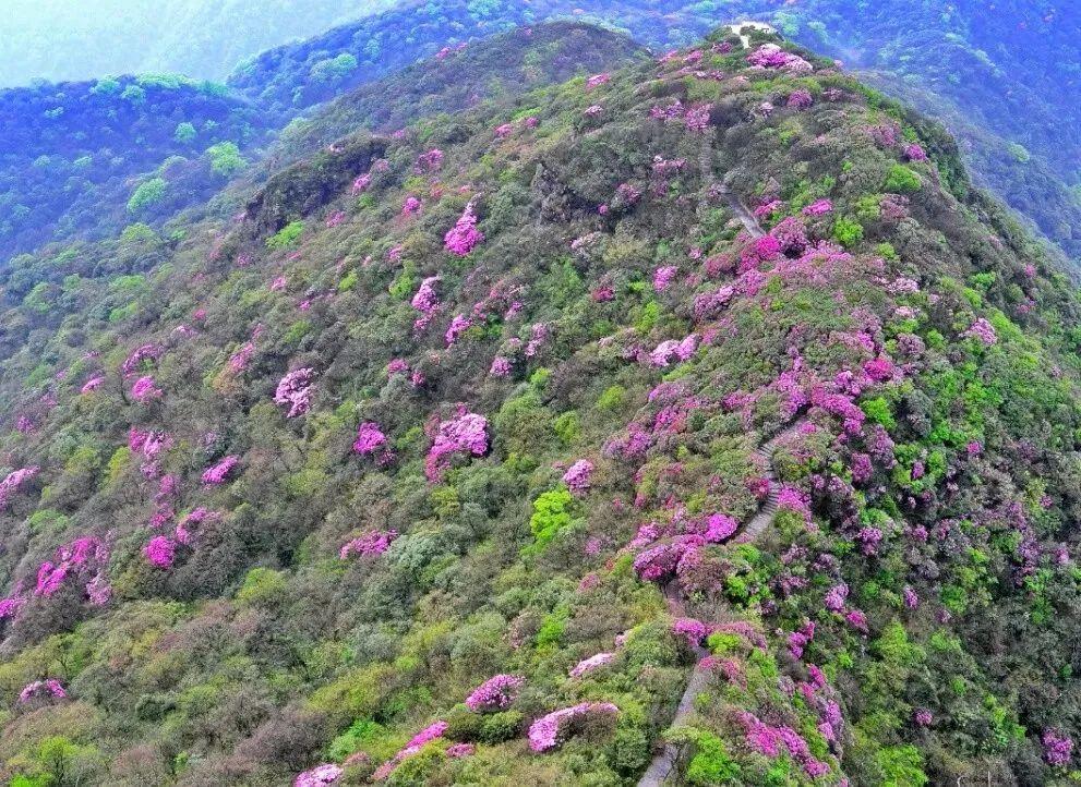 梵净山几月份去最好，梵净山几月份去最好看