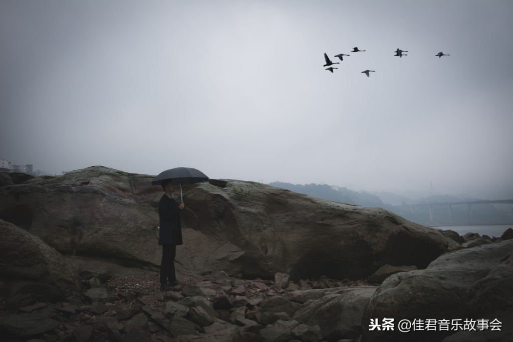南山南的歌词是什么意思，南山南这首歌想表达什么